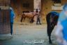 Palio 2 luglio 2019: la gallery della prima e della seconda prova